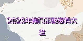 澳门正版资料大全免费歇后语——俗语文化的宝藏，澳门正版资料大全背后的俗语文化宝藏，免费探索歇后语的宝藏