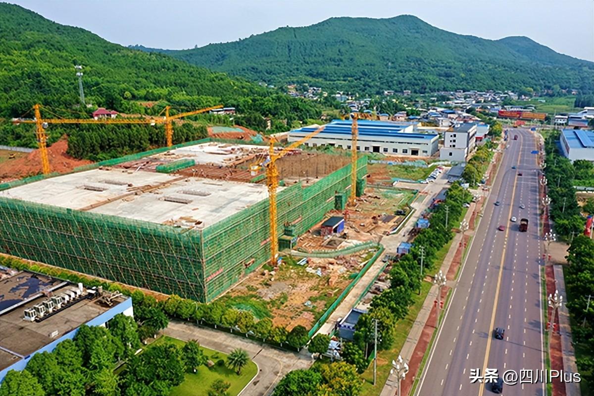 揭秘六和彩开码资料2025，一网打尽彩票秘籍，揭秘六和彩开码资料2025，一网掌握彩票秘籍之道