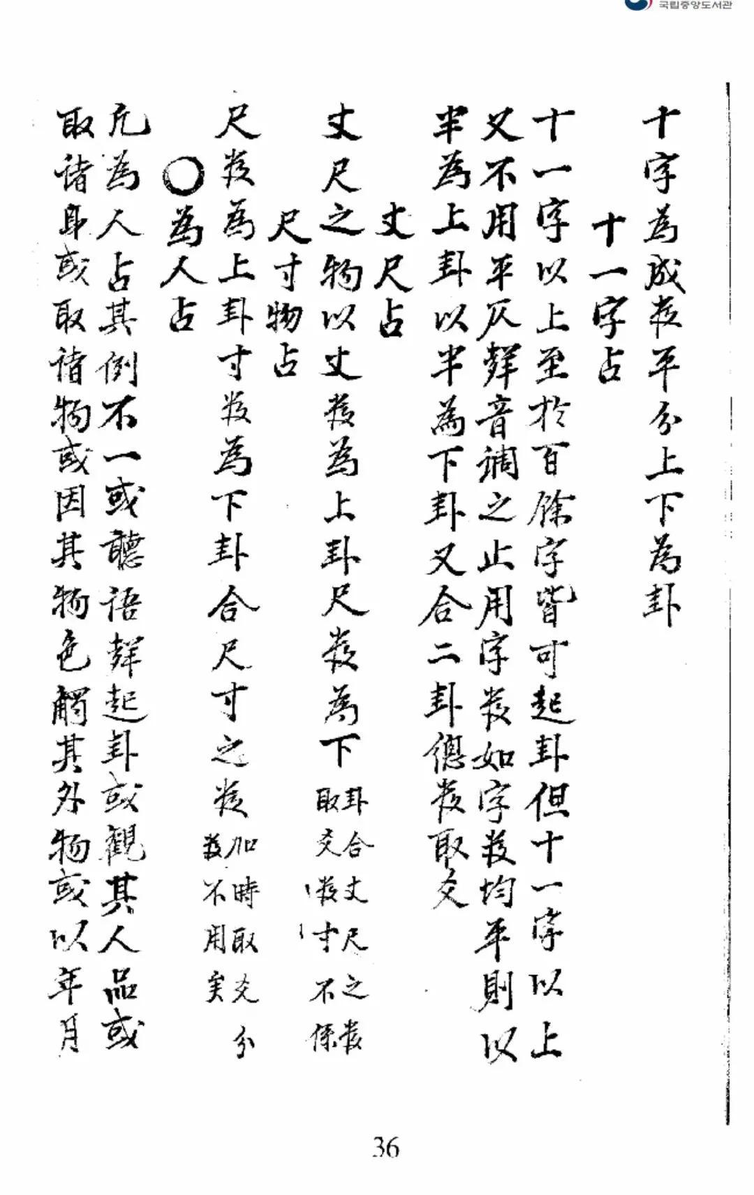 雾中仙子