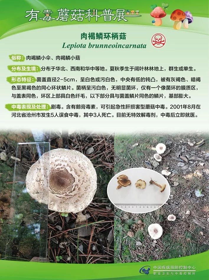 游戏专题 第20页