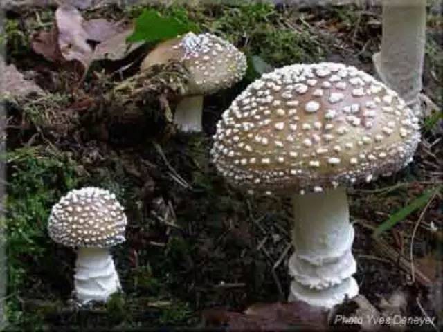 热点生活 第19页