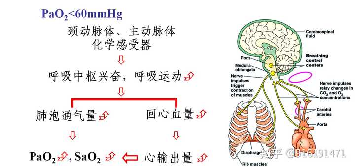 游戏专题 第7页